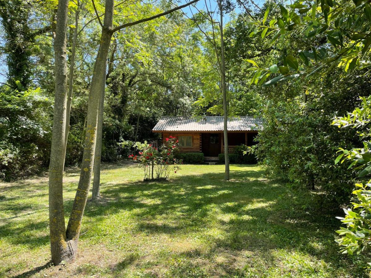 Bastidette Florestane Saint-Rémy-de-Provence エクステリア 写真