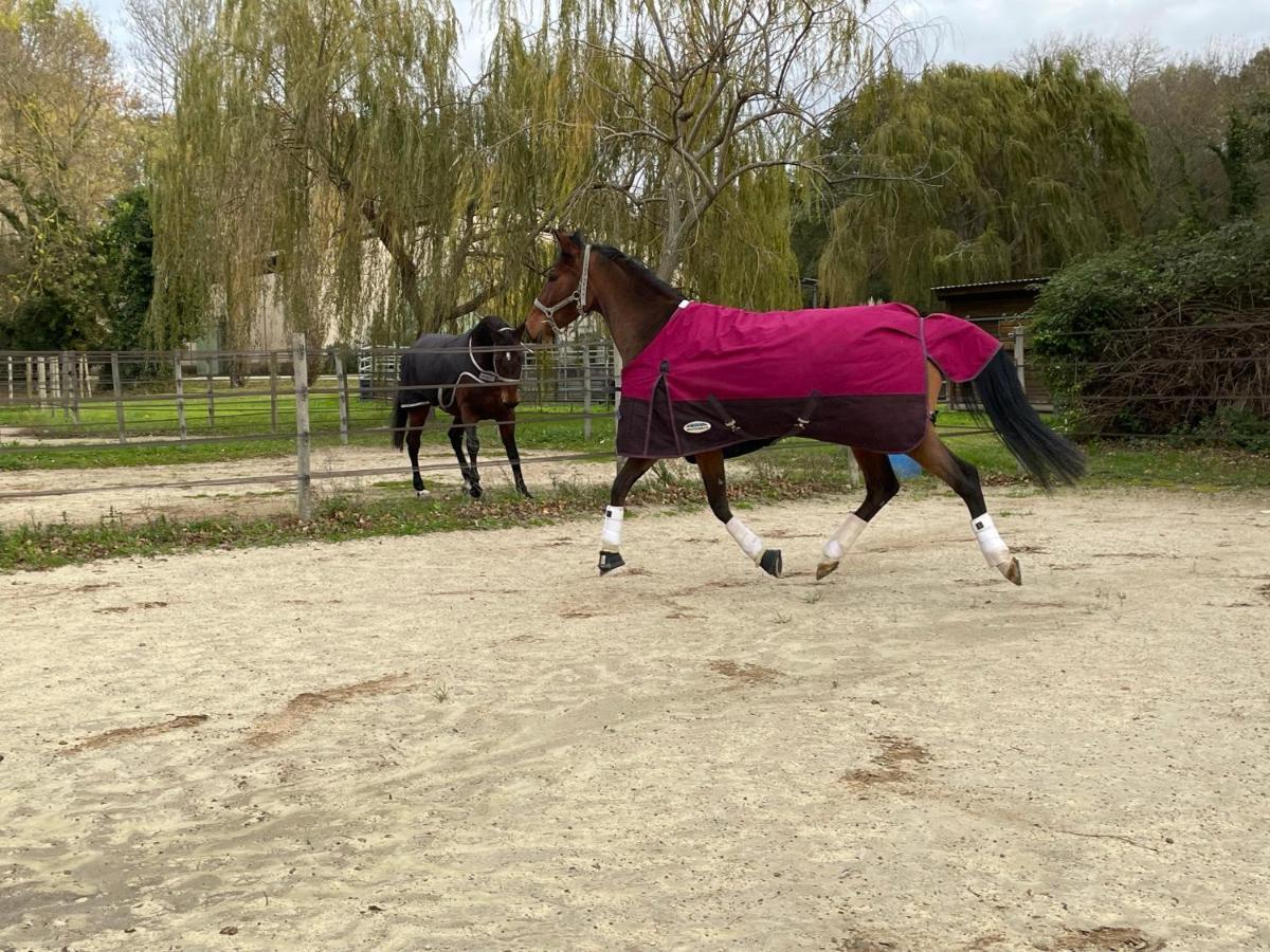 Bastidette Florestane Saint-Rémy-de-Provence エクステリア 写真